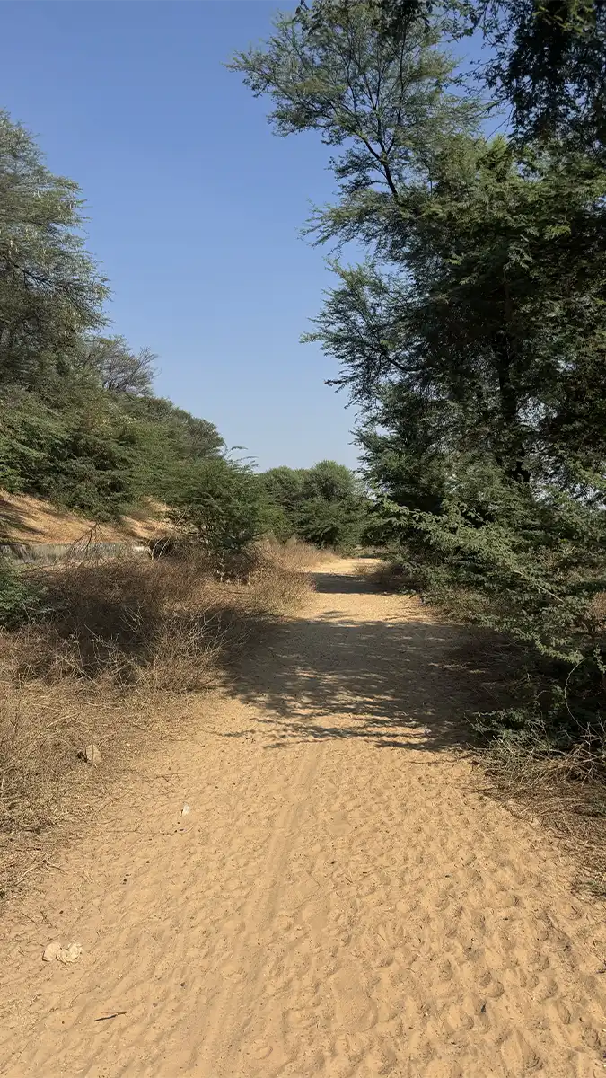 Near Kolavada Abandoned railway station